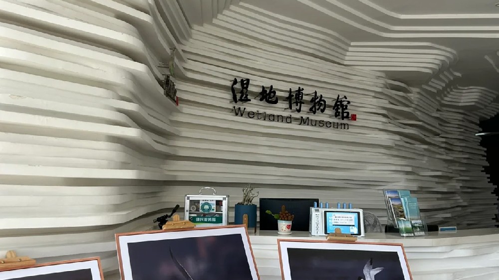 专注、专业、专心，闽江口湿地博物馆项目施工